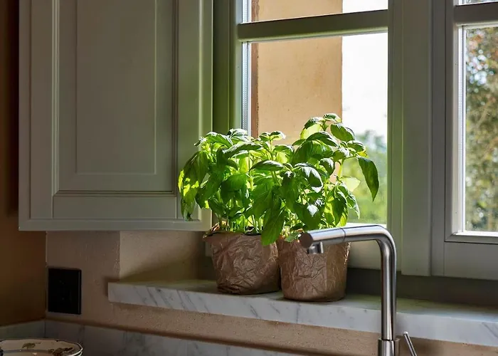 Mami - Boutique Adults Only