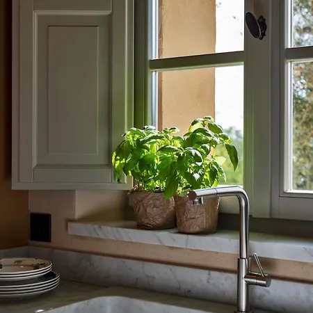 Mami - Boutique Adults Only